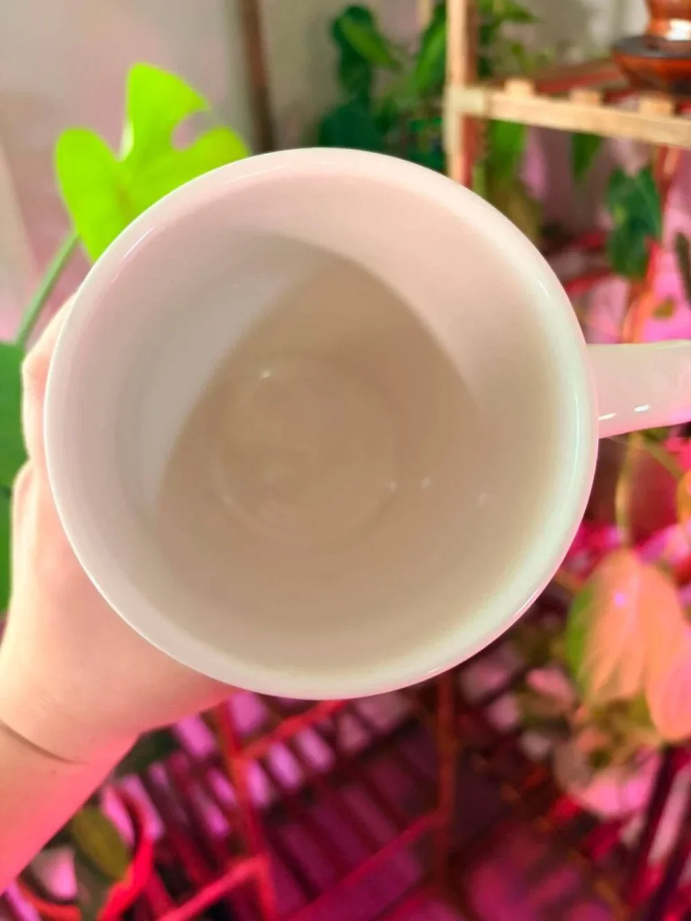 Eccolo Glam-Ma Grandma Ceramic Coffee Mug Makeup Beauty 2019